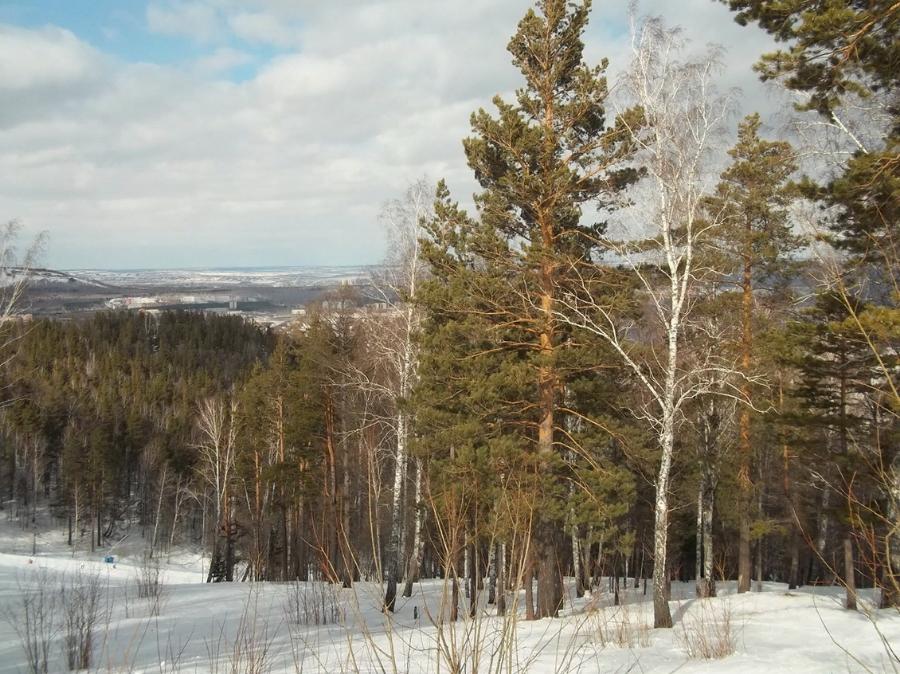 Погода красноярск 21 апреля. Красноярск в апреле. Красноярск климат. Красноярск ноябрь 2012.