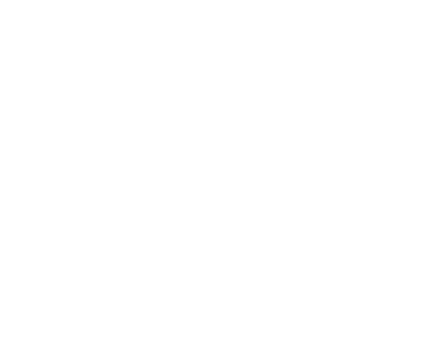 Venisa Portillo logo