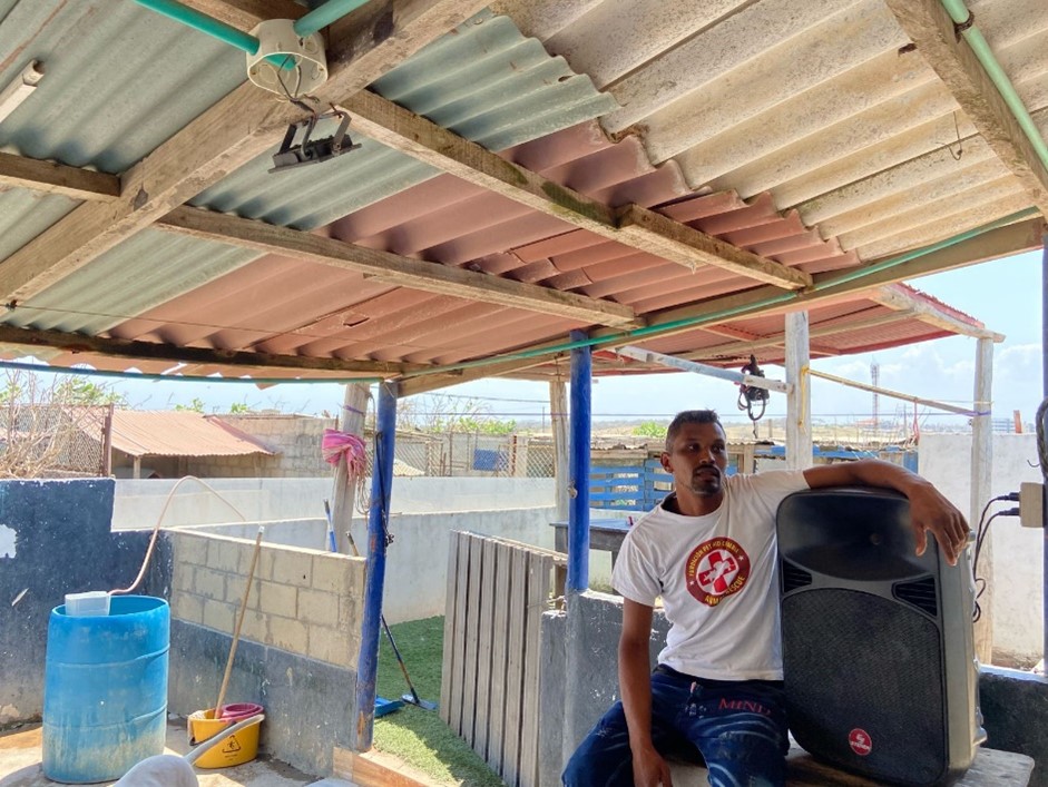 Imagen de descripción de Colitas Callejeras: Una Historia de Resiliencia en las Costas de Sabanilla, Colombia