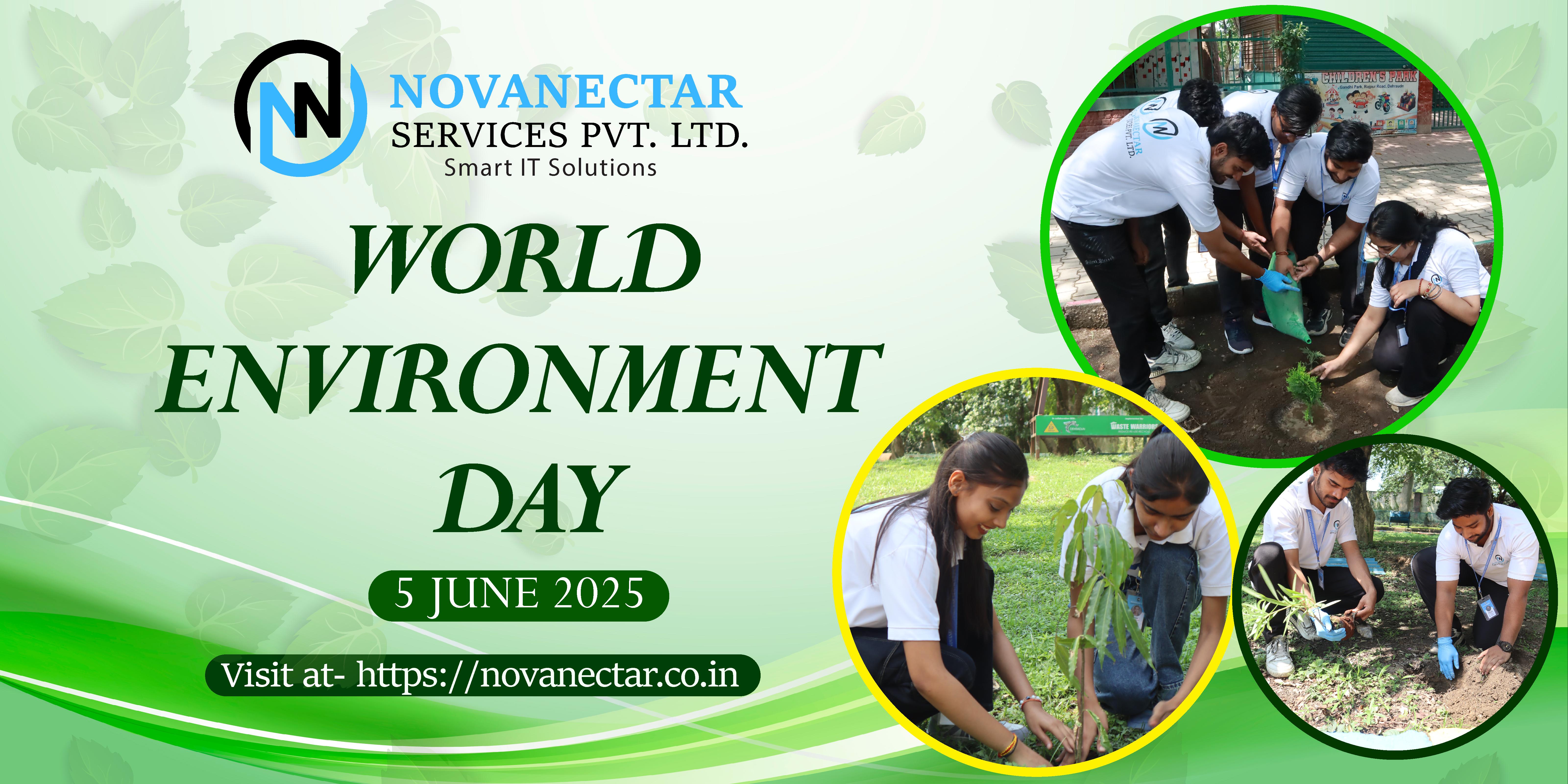 Tree plantation by novanectar