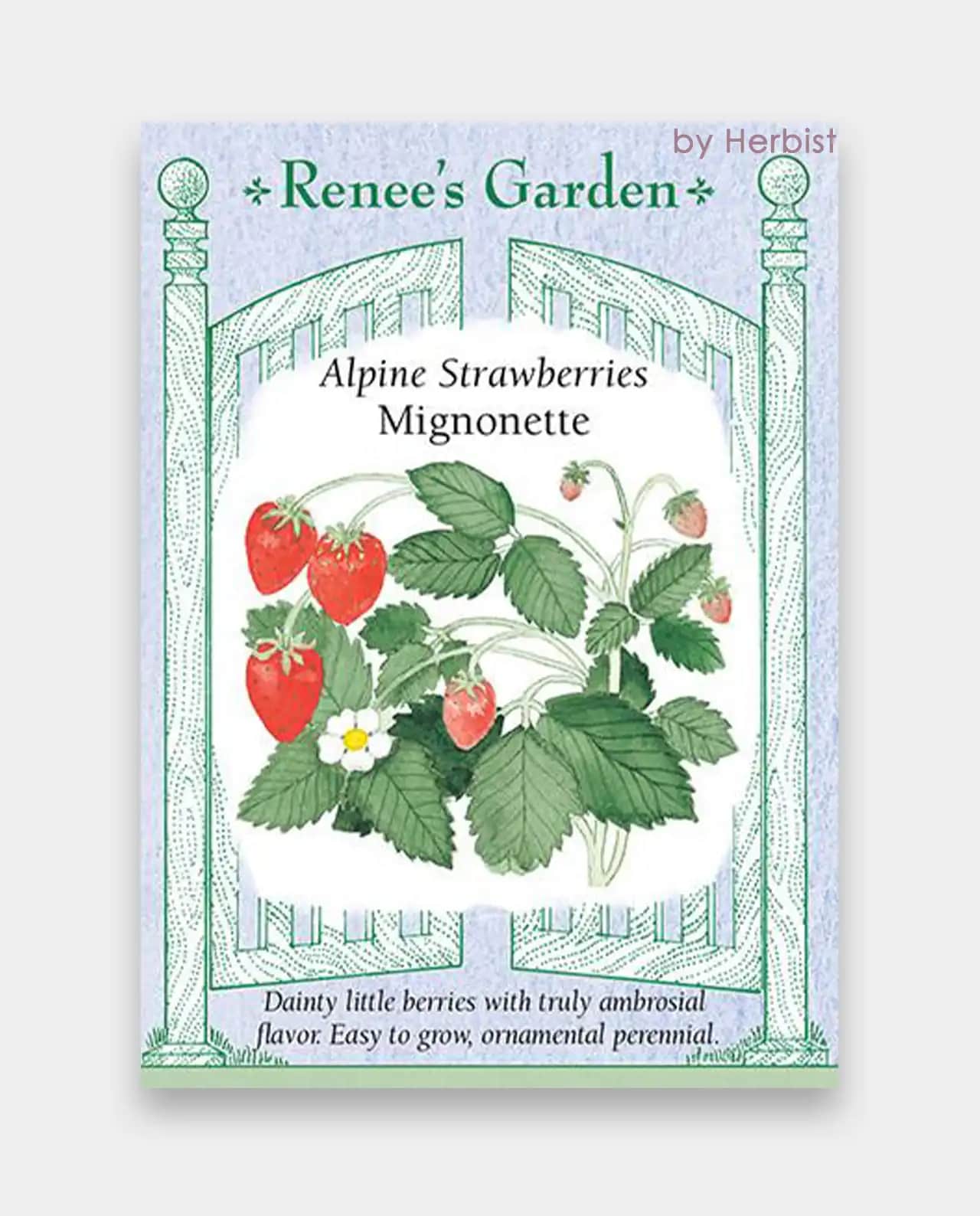 สตรอว์เบอร์รี Strawberries Mignonette