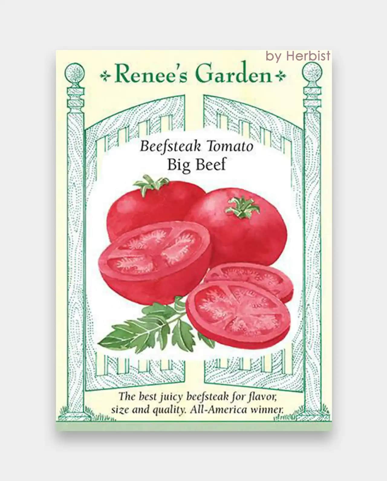 มะเขือเทศ Big Beef Beefsteak Tomato