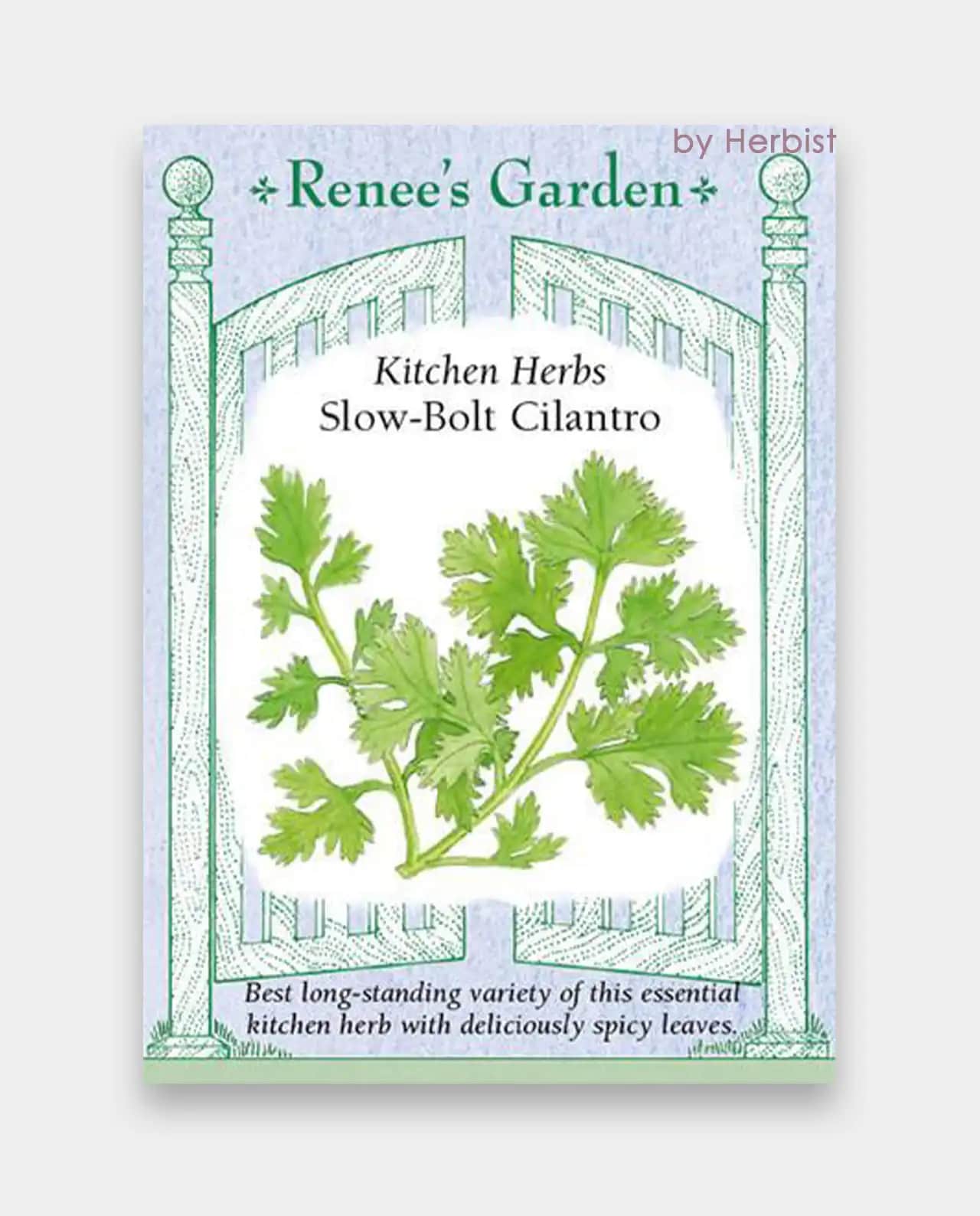 ผักชีฝรั่ง Slow-Bolt Cilantro