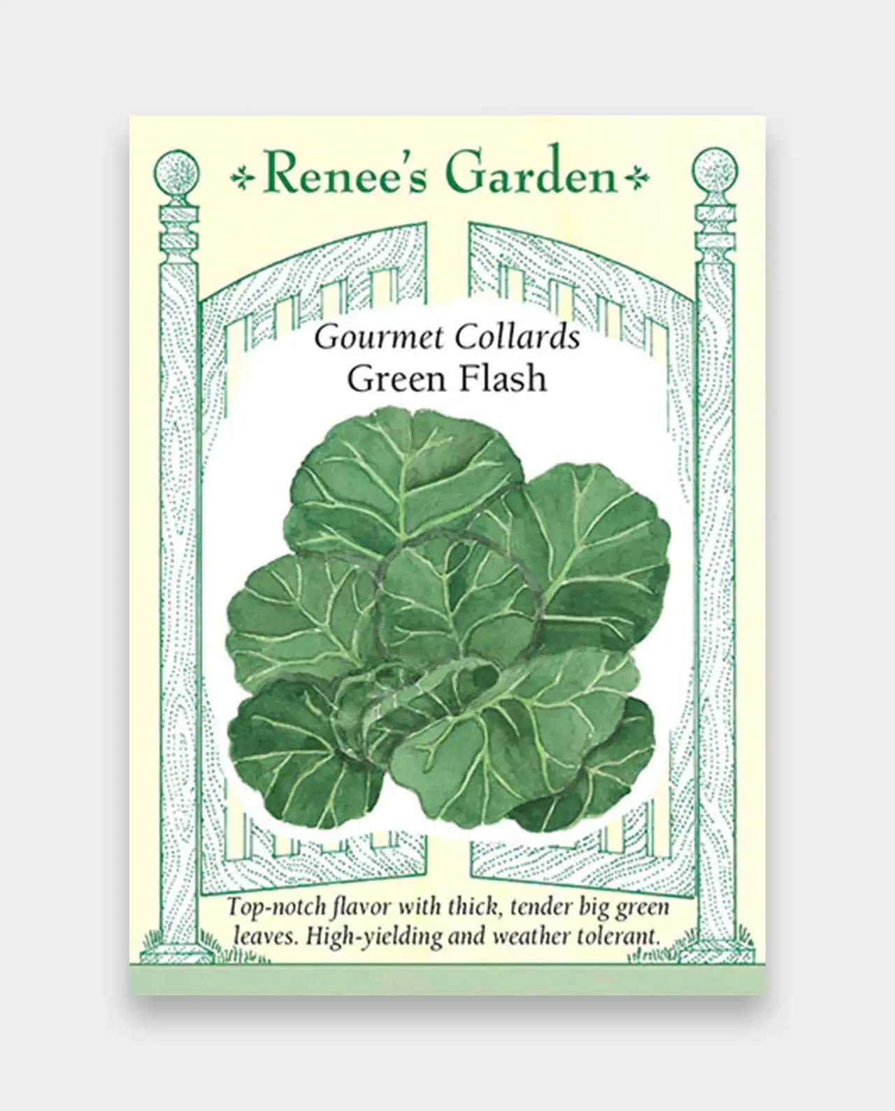 คอลลาร์ด Gourmet Collards Green Flash