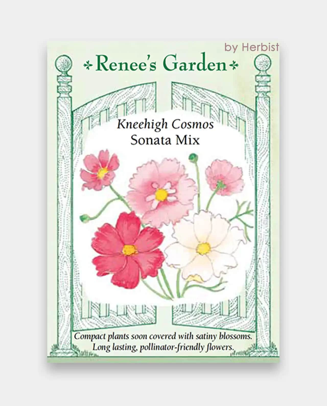 คอสมอส Kneehigh Cosmos Sonata Mix