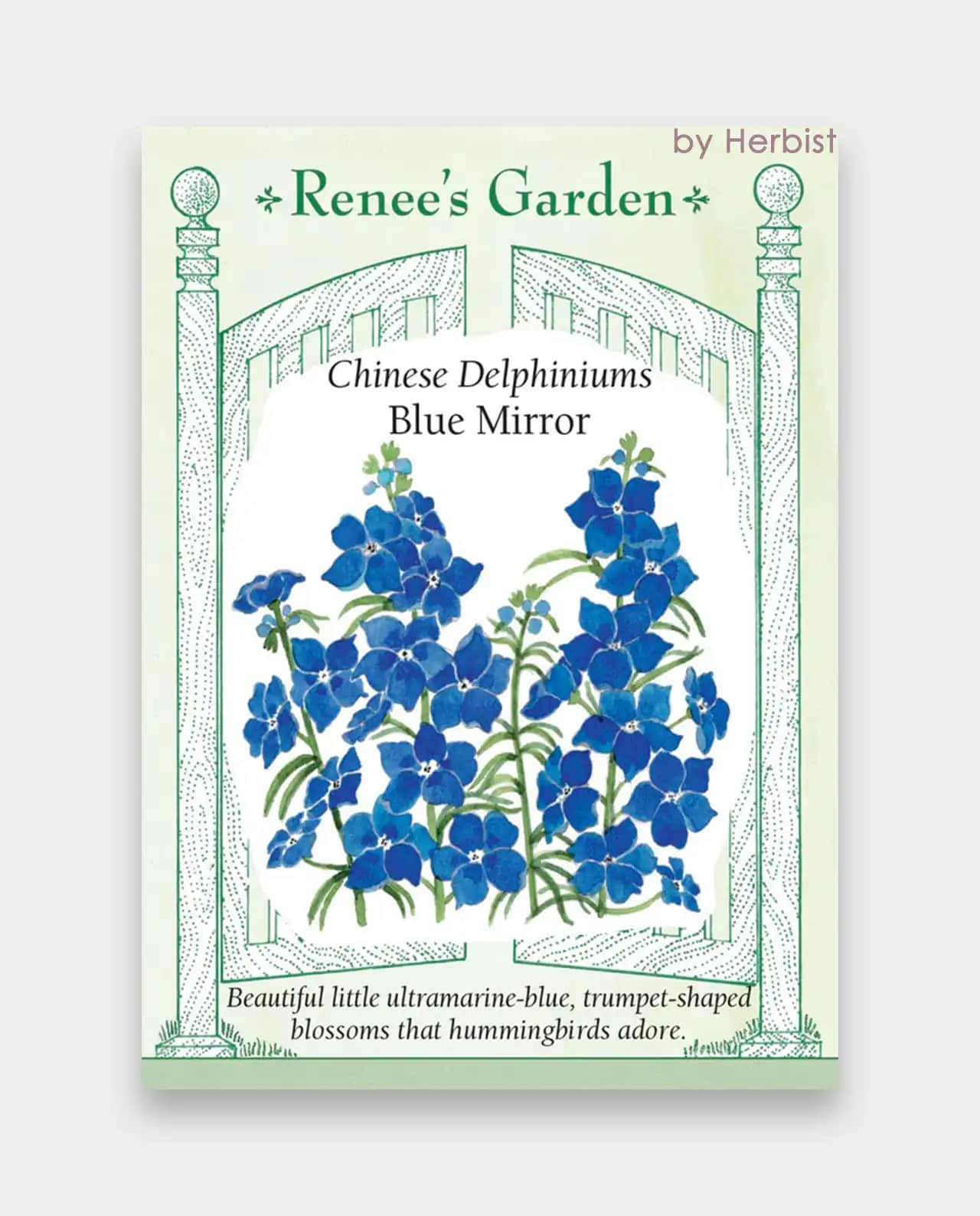 Chinese Delphiniums Blue Mirror