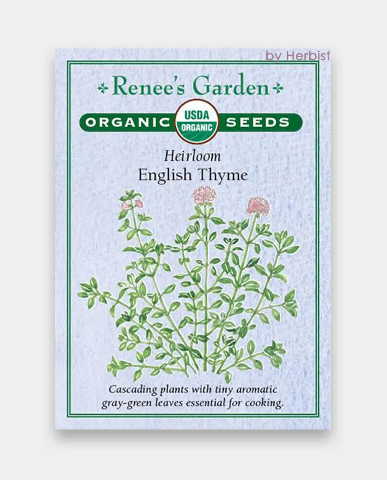 ออร์แกนิค ไทม์ English Thyme