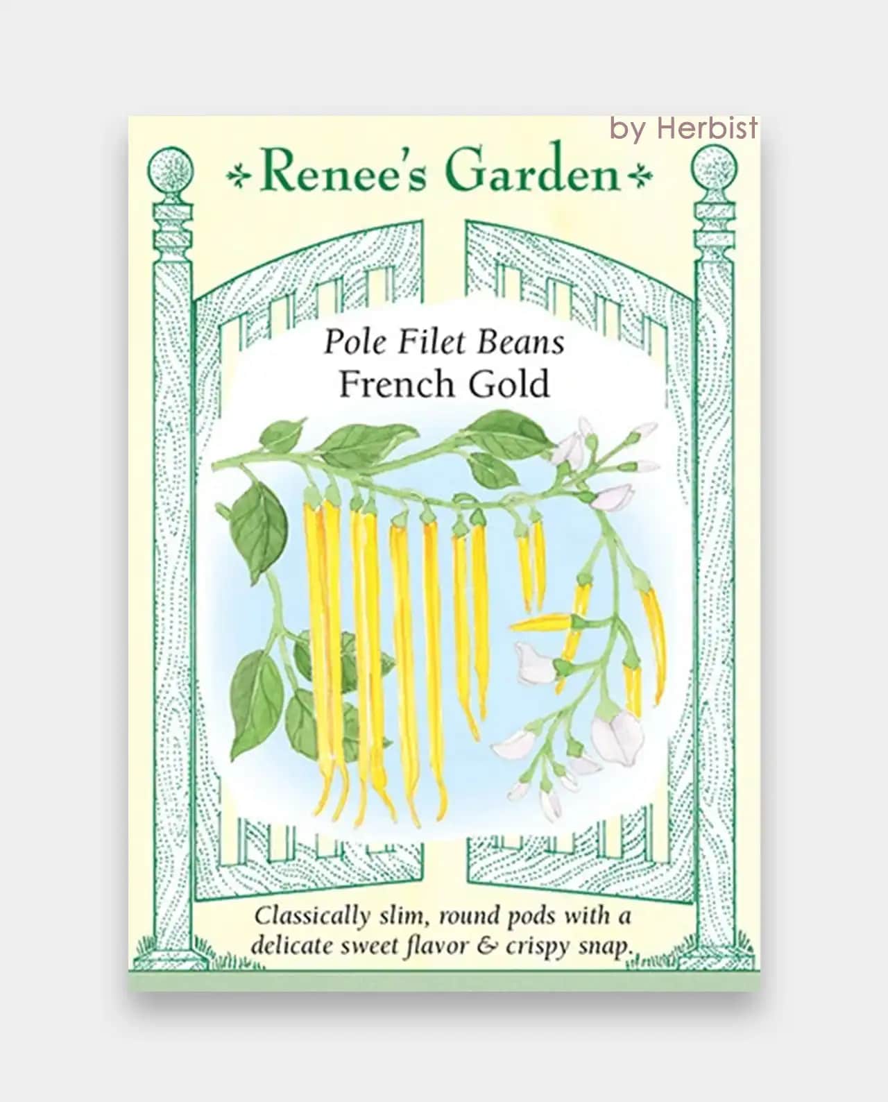 ถั่วริบบิ้น Pole Filet Beans French Gold