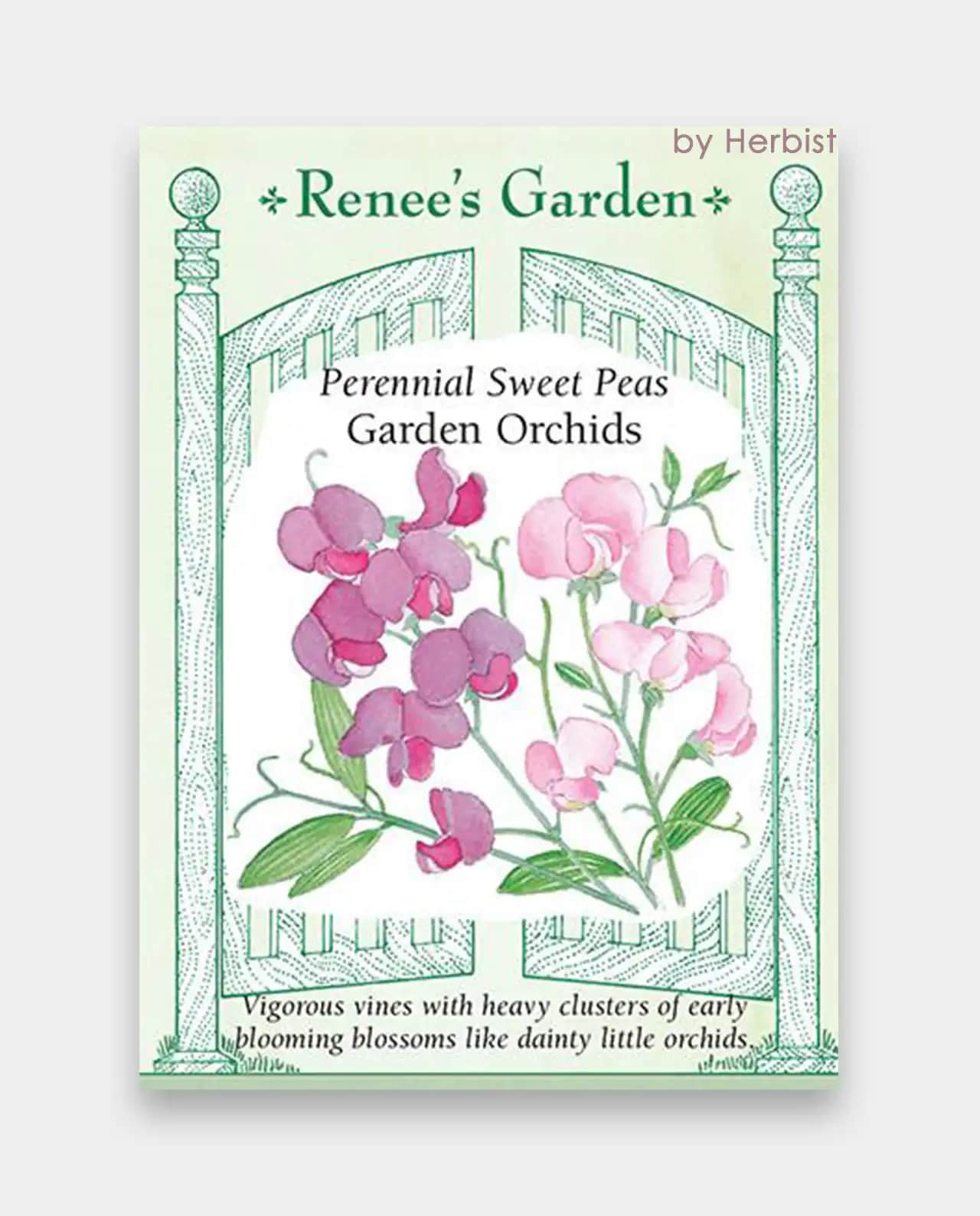 สวีทพี Garden Orchids Sweet Peas