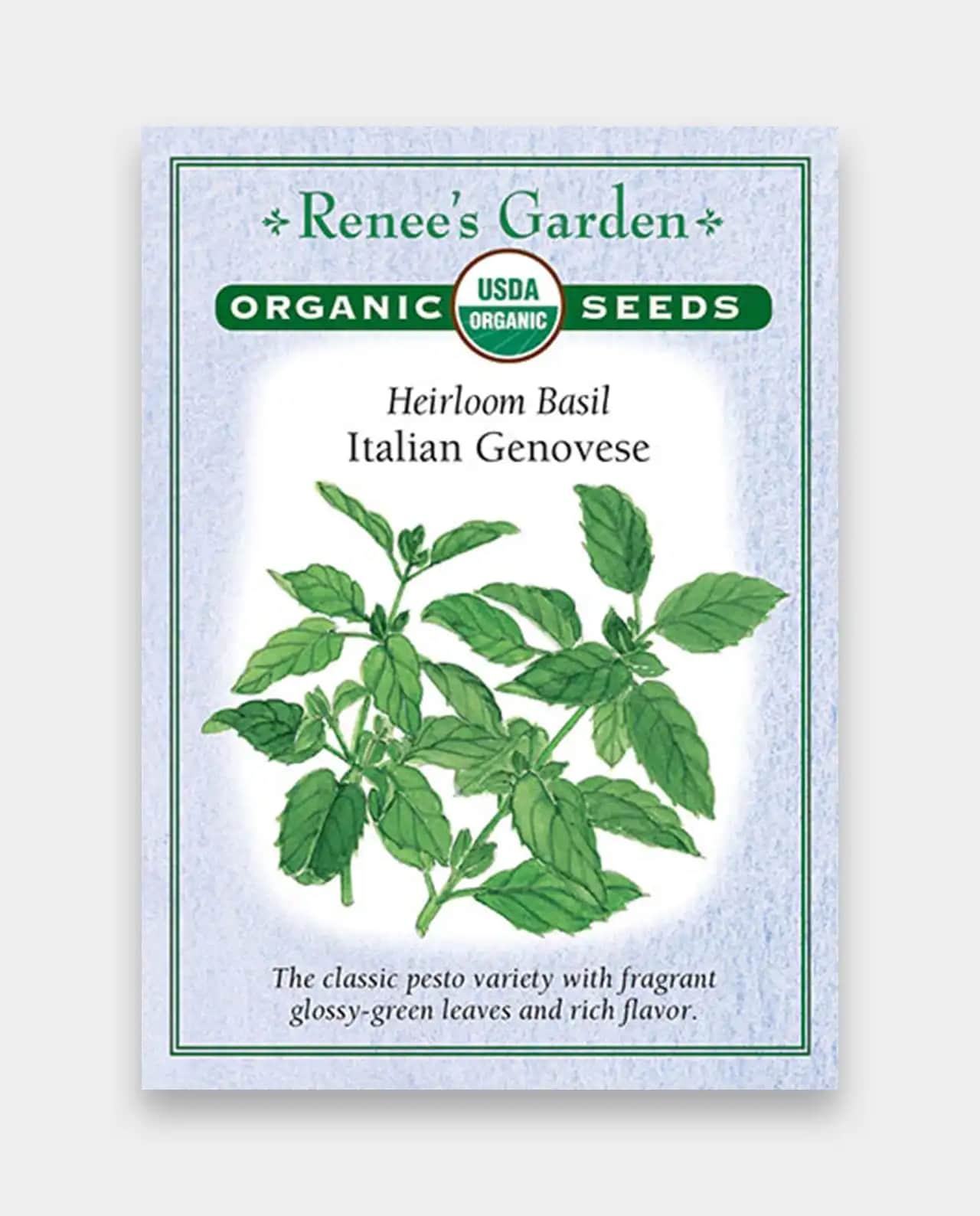 ออร์แกนิค เบซิล Basil Italian Genovese