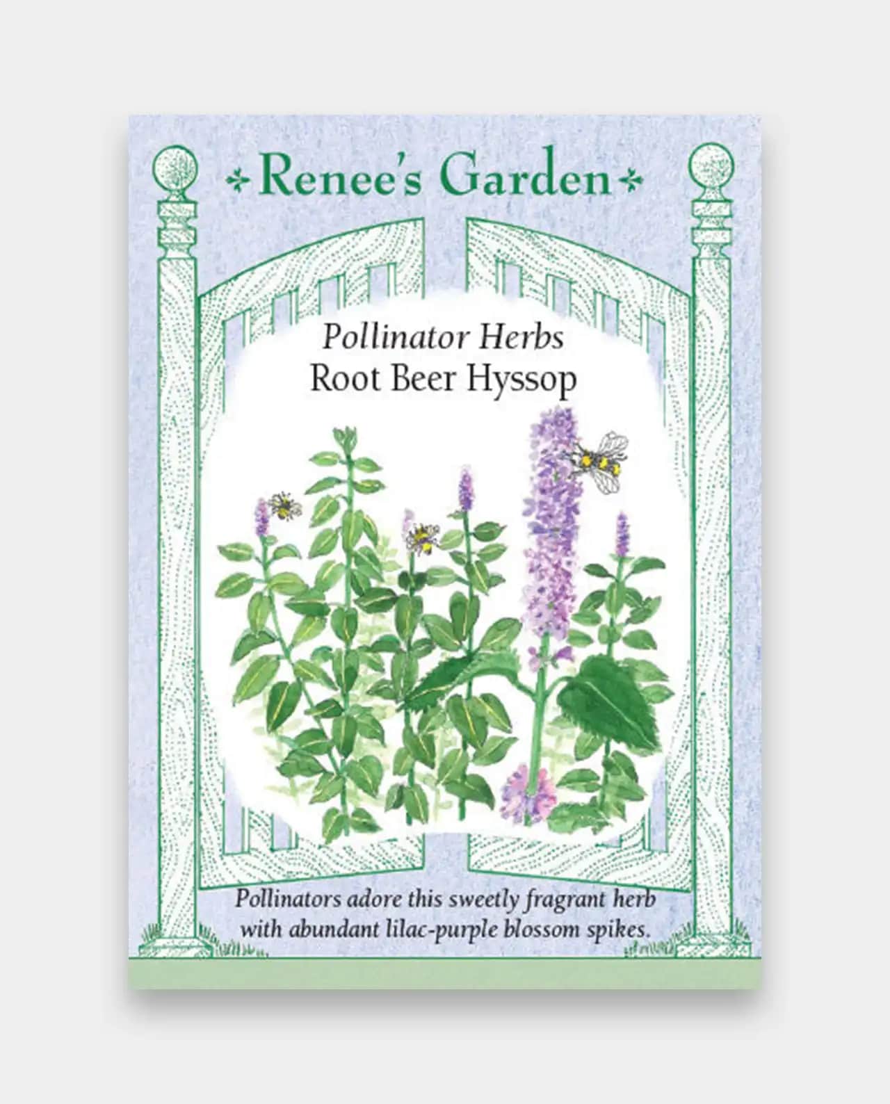 ฮิสซอฟ Root Beer Hyssop