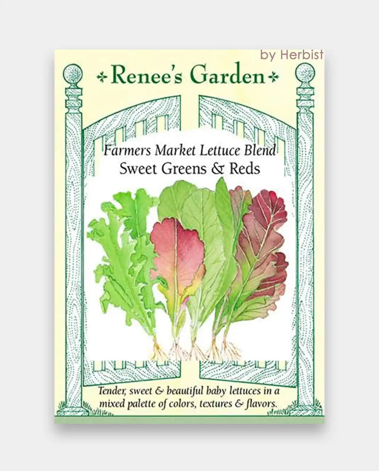 ผักกาดหอม Lettuce Sweet Greens & Reds
