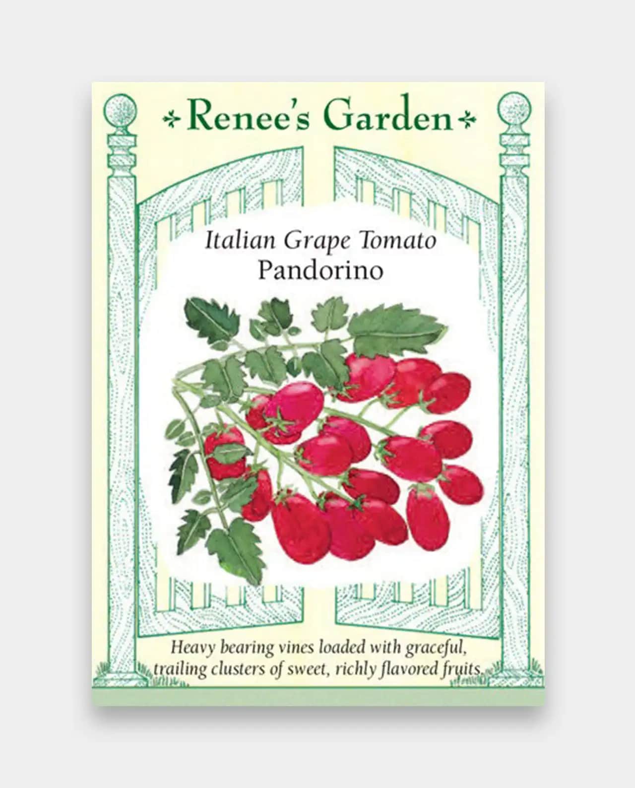มะเขือเทศ Italian Grape Tomato Pandorino