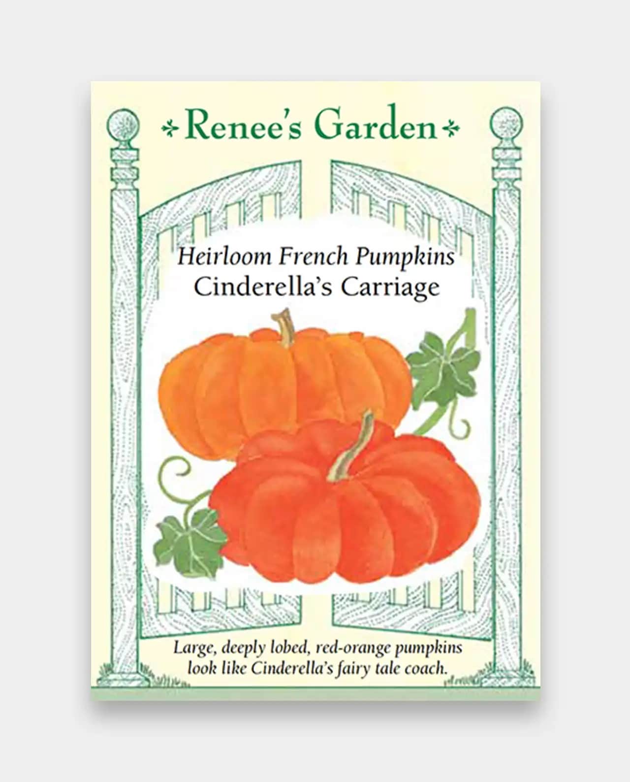 ฟักทอง Pumpkins Cinderella's Carriage