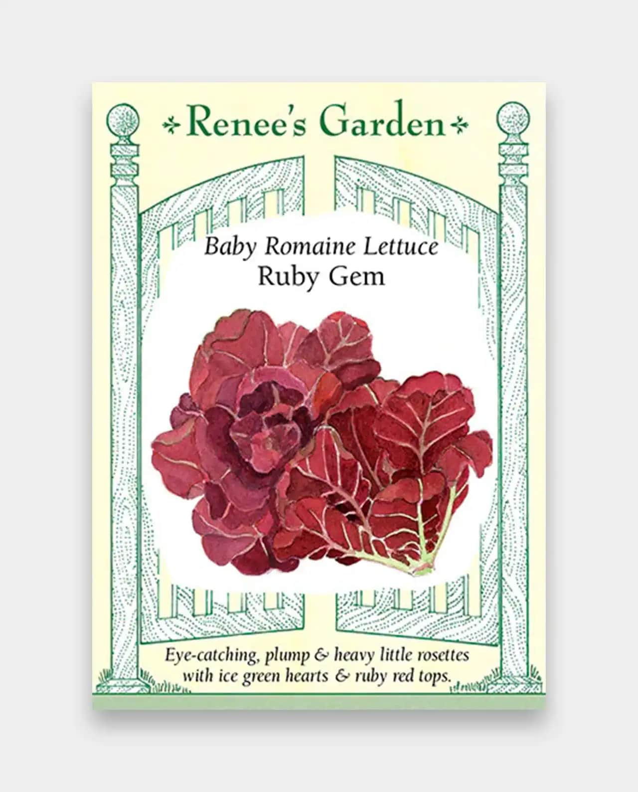ผักกาดหอม Baby Romaine Ruby Gem