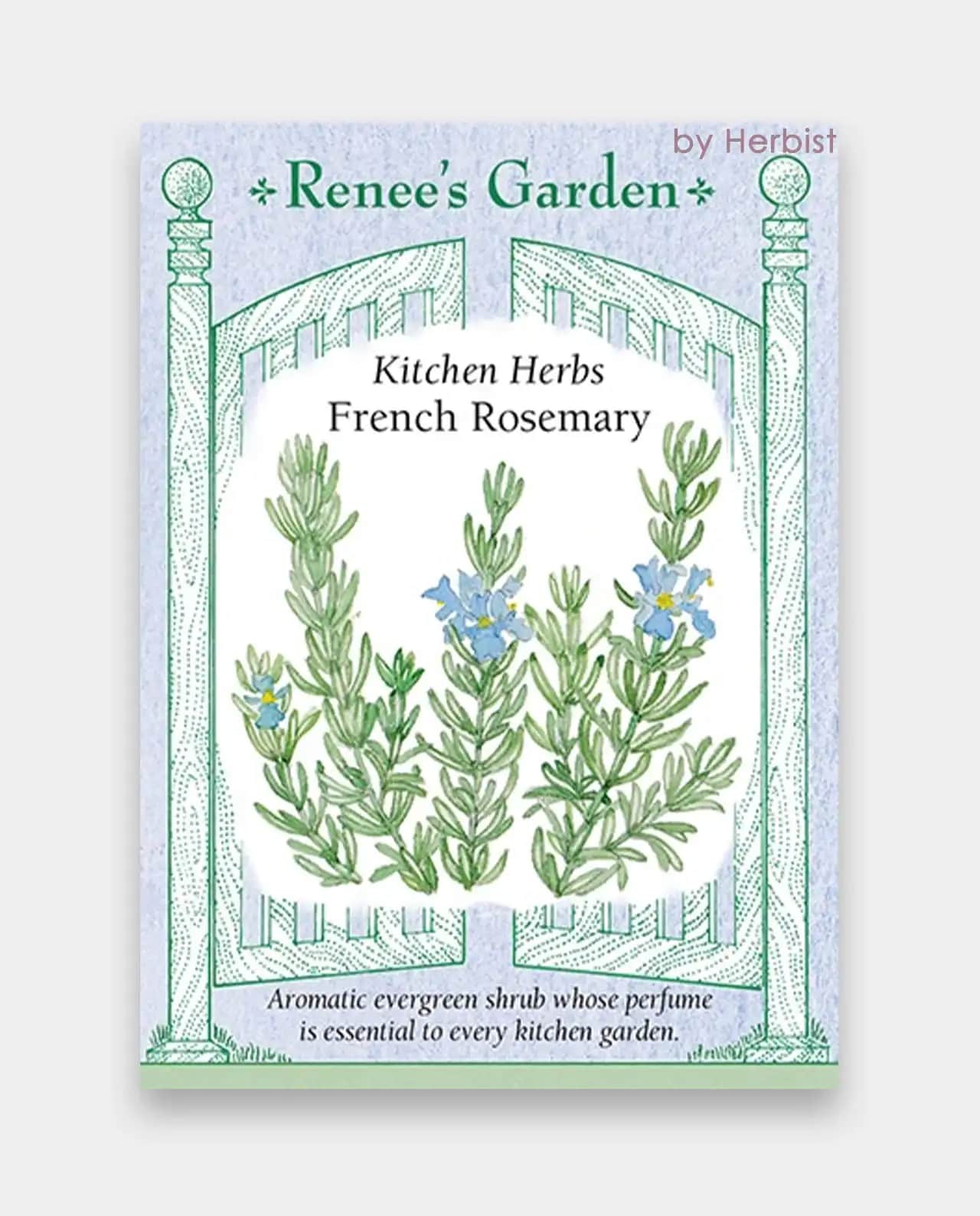โรสแมรี่ French Rosemary