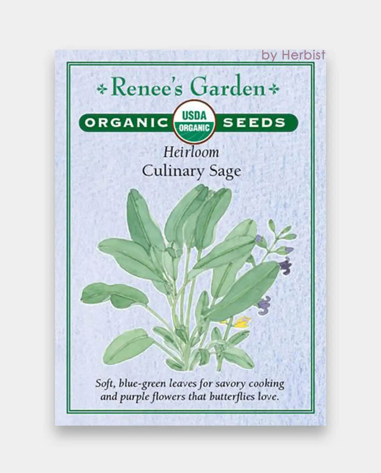 ออร์แกนิค เสจ Organic Culinary Sage