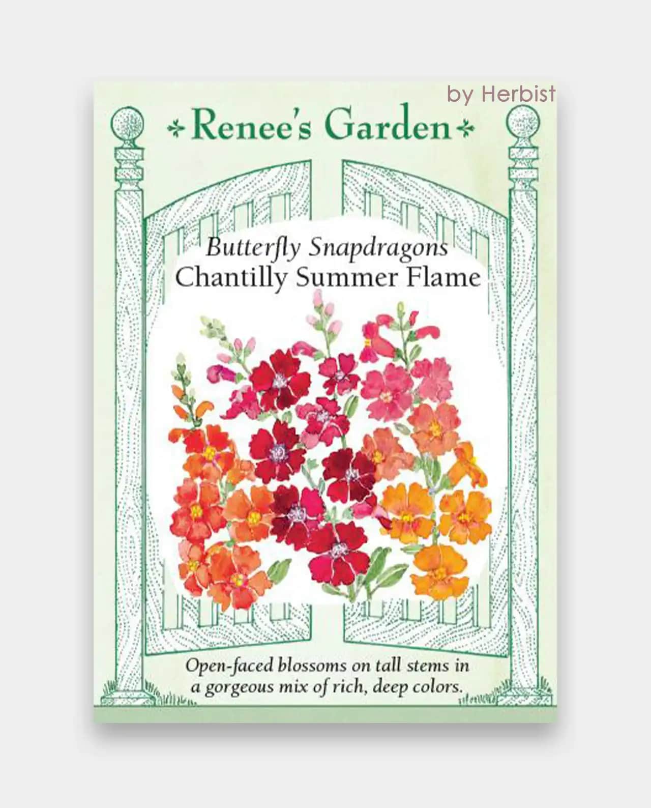 สแนปดราก้อน Snapdragons Summer Flame