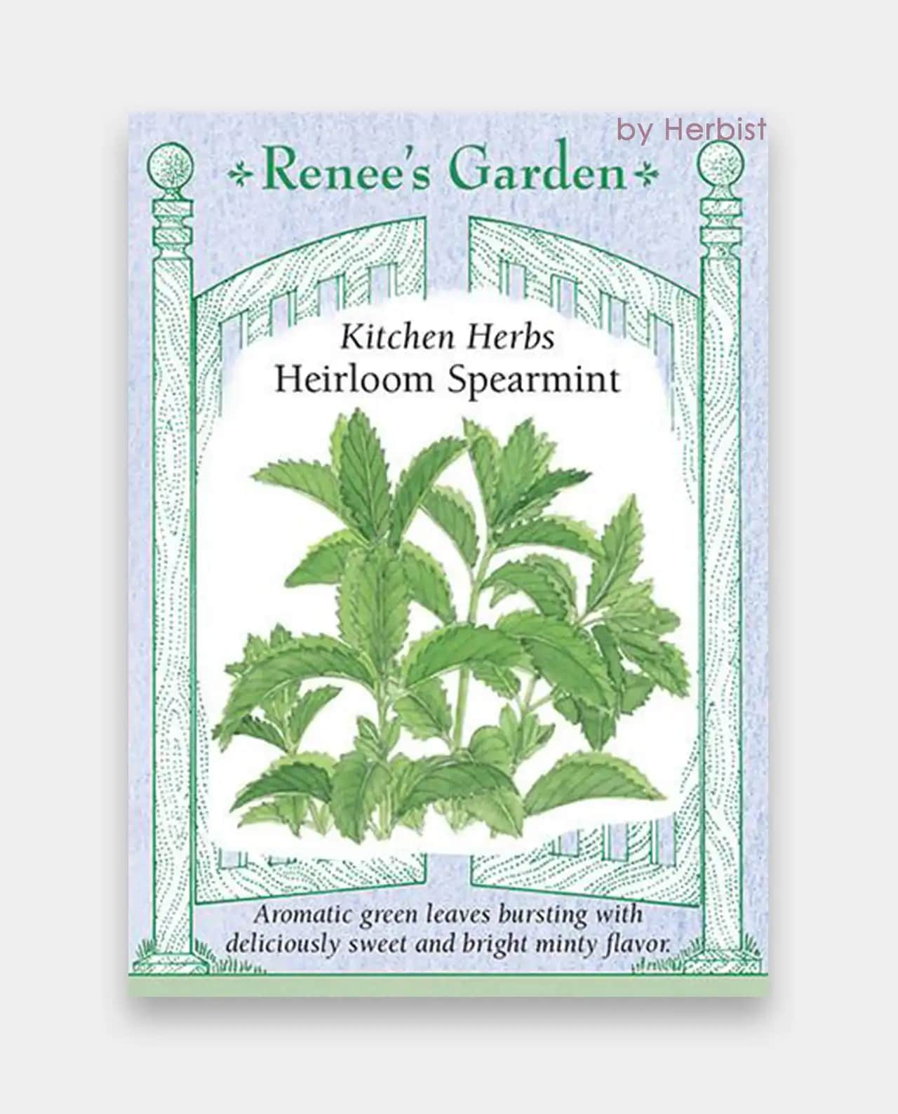 สเปียร์มินต์ Spearmint