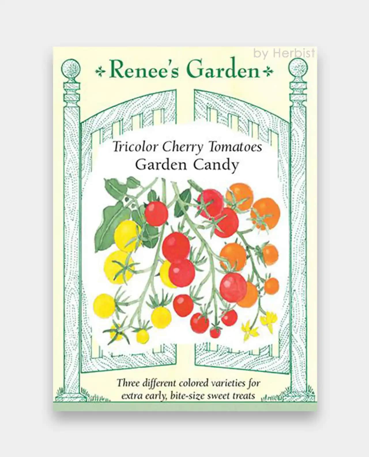 มะเขือเทศเชอรี่ Cherry Tomatoes