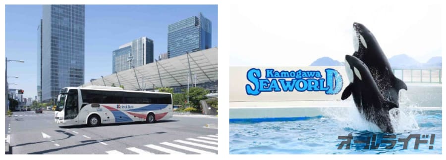 鴨川シーワールド入館券付 goto対応 アクシーチケット 誕生11月27日 金 より 東京駅京成高速バス案内カウンター にて販売開始 オールライド 鴨川シーワールド入館券付 goto対応 アクシーチケット 誕生11月27日 金 より 東京駅京成高速バス案内カウンター にて販売開始 オールライド