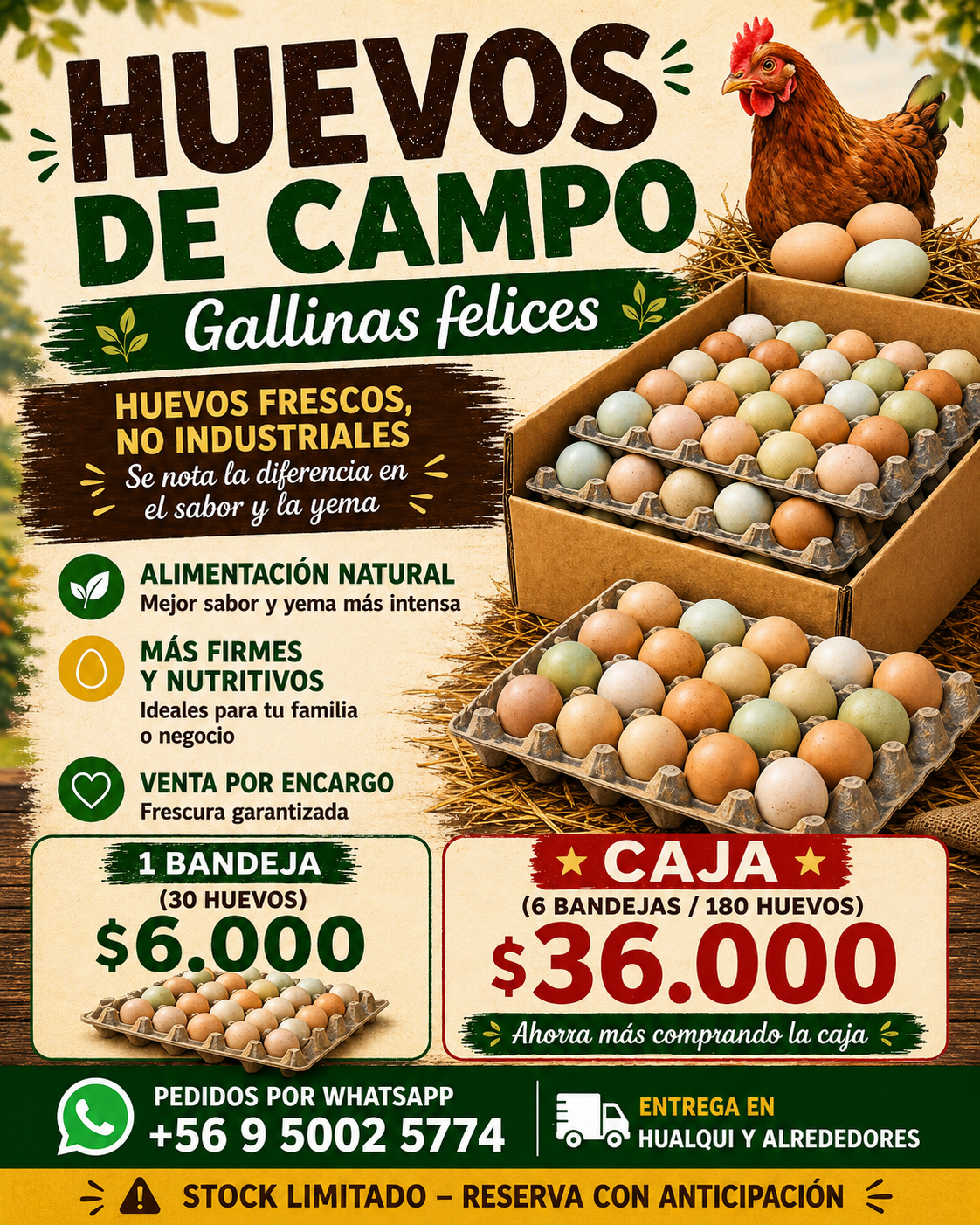 Huevos de gallina libre