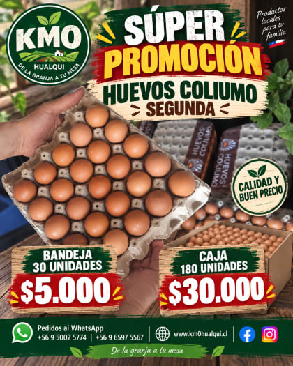 Huevos Coliumo segunda color