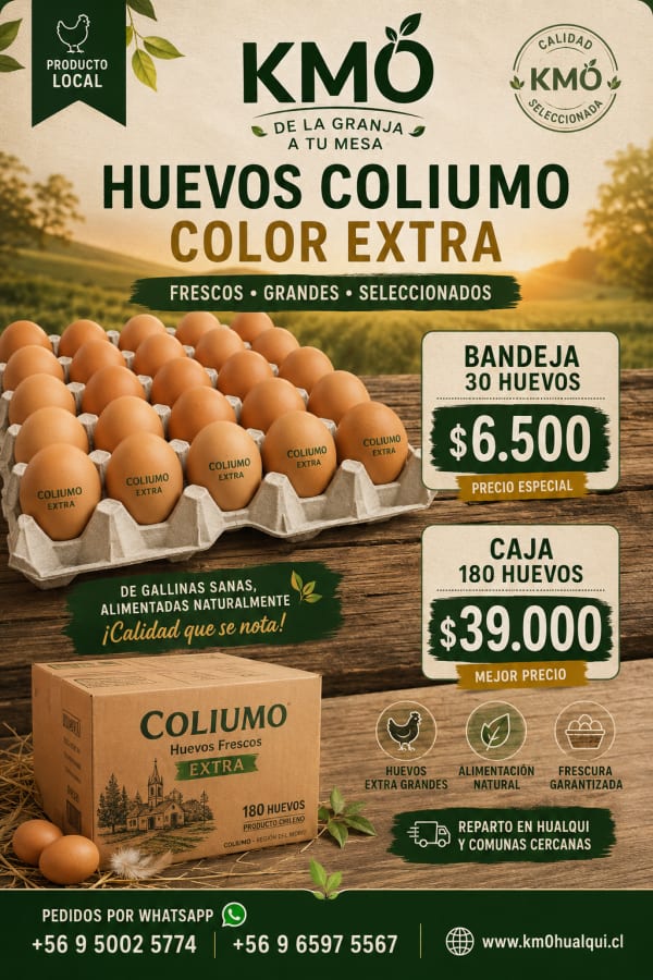 Huevos Coliumo extra color