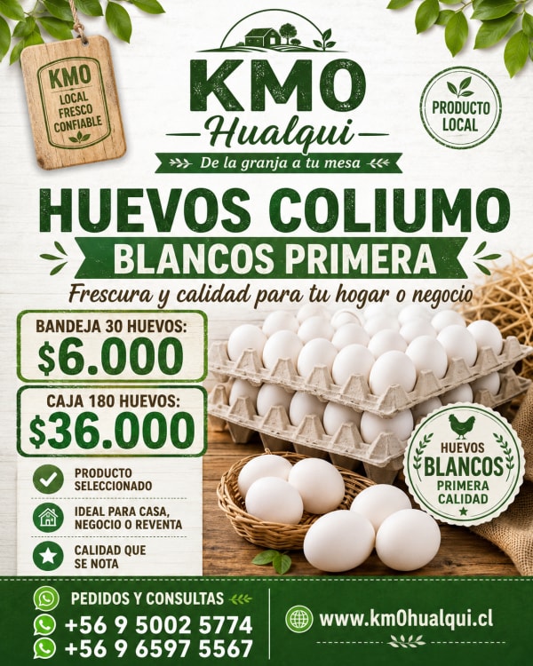 Huevos Coliumo primera blanco