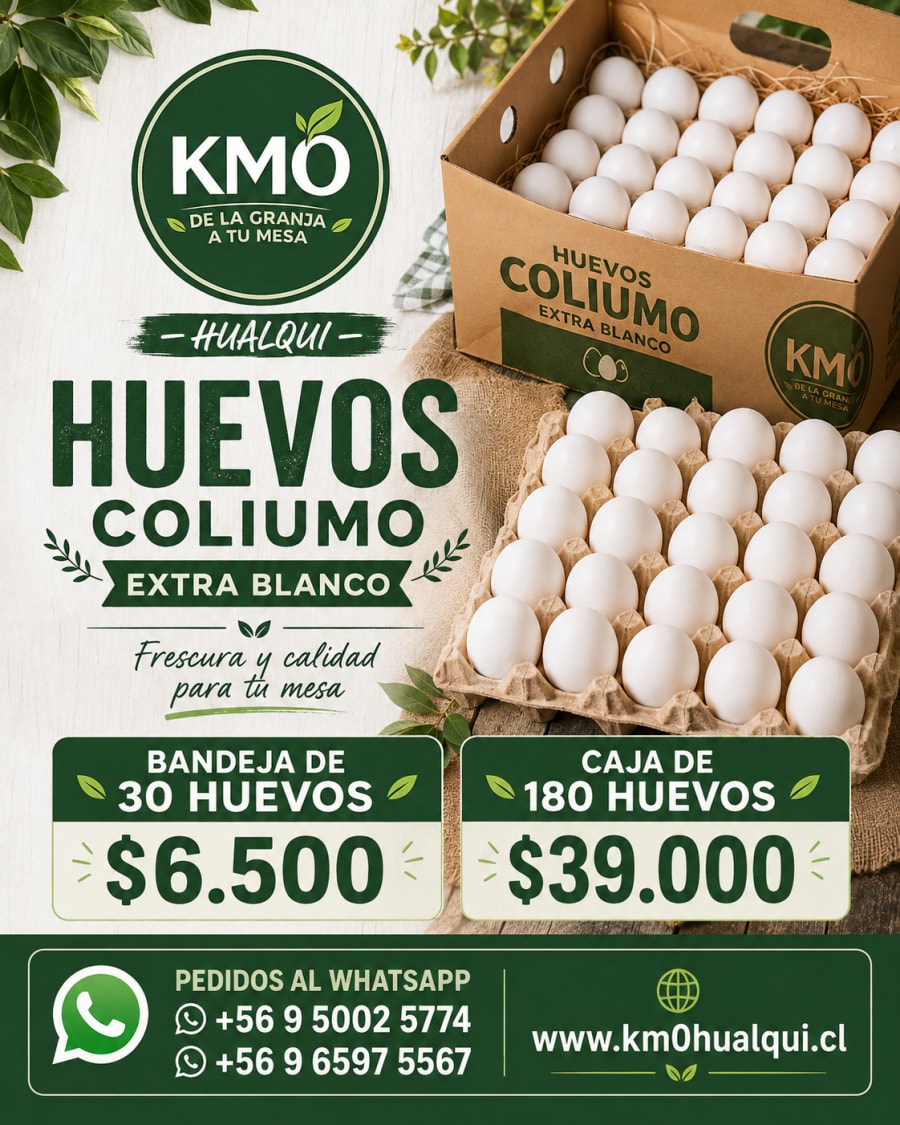 Huevos Coliumo extra blanco