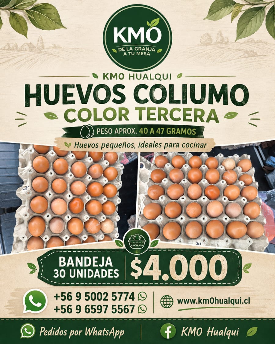 Huevos Coliumo tercera color