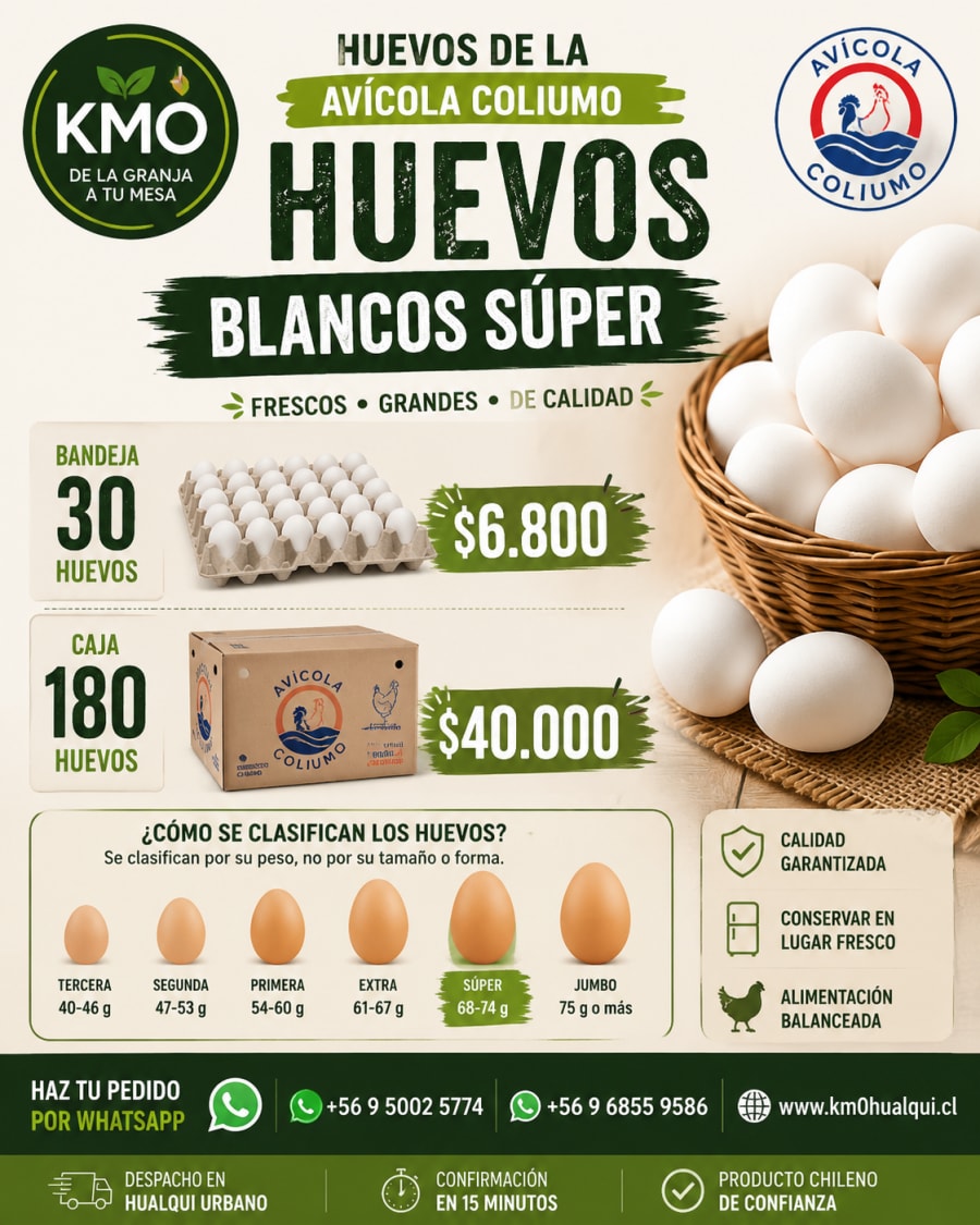 Huevos Coliumo súper blanco