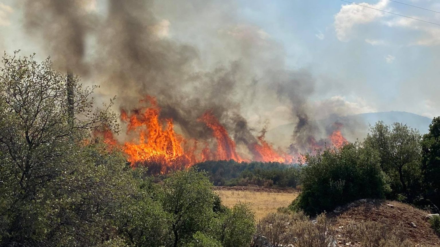 Fire burns olive trees in a mountainous area of the Municipality of Argos, Mycenae, Greece, 21 June, 2024.