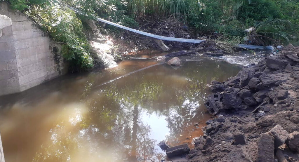 WaterCAN and Adopt-a-River Urge eThekwini Municipality to Address High E-coli Levels in Umbilo River