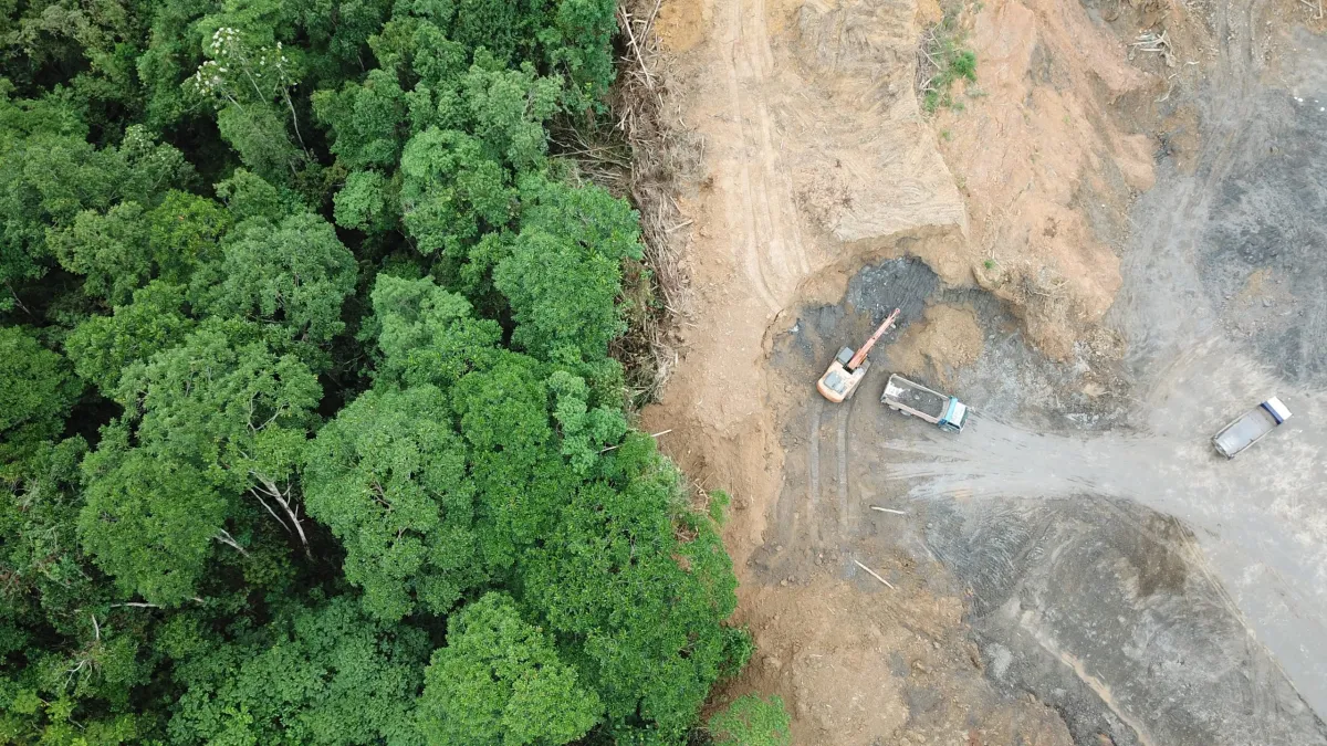 Deforestation in Australia