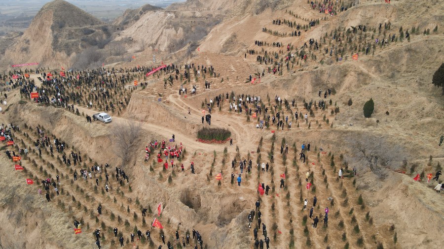 This aerial photo taken on Feb. 20, 2023 shows people planting trees in Ruicheng County near the Yellow River in north China's Shanxi Province.