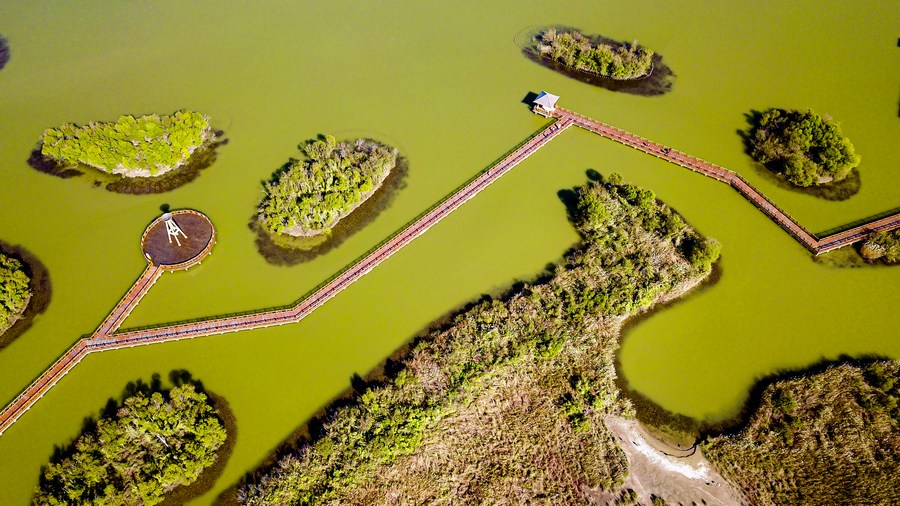 This aerial photo taken on Oct. 18, 2022 shows the wetland scenery at the Yellow River delta national nature reserve in east China's Shandong Province.