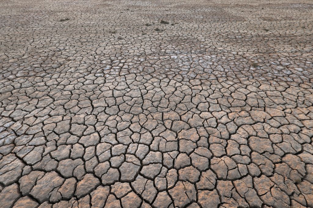 Climate change is having serious impacts on Kuwait's agricultural sector due to increased water scarcity, desertification and rising temperatures.