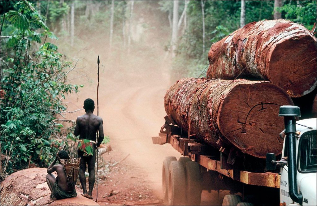 A little-known environmental company based in Dubai is furiously making deals across Africa to control African forests. According to a British magazine, it now owns 8% of Tanzania's forests.
