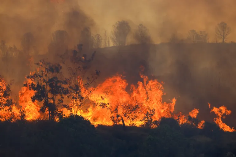 A fire burning in the province of Canakkale, Turkey, on June 18, 2024