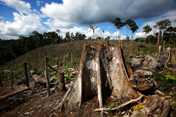 Deforestation in Uganda