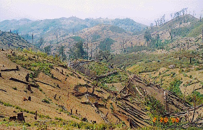 Ongoing deforestation activities in Mpigi District a case study of Katabalalu forest in Uganda