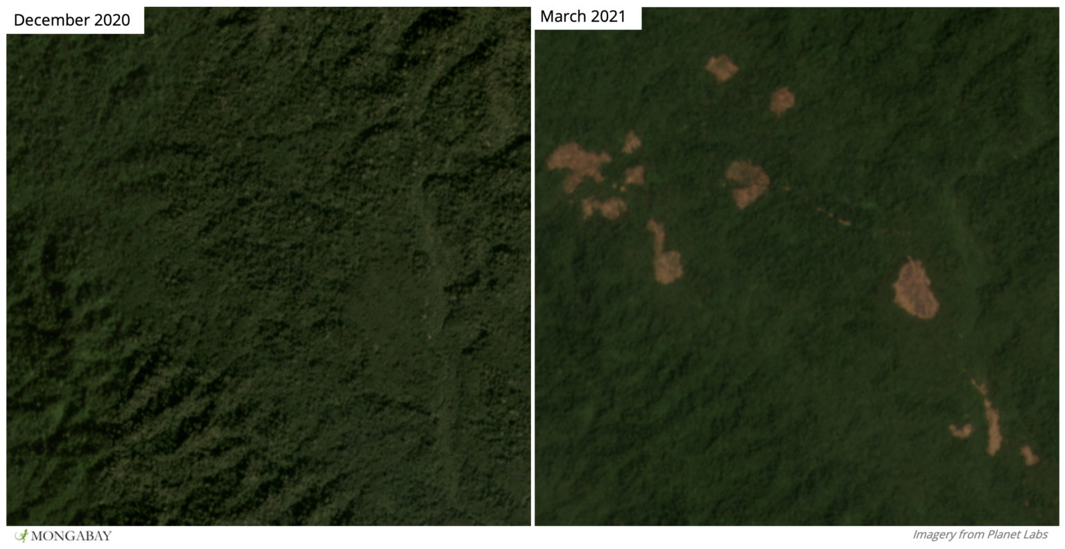 Satellite images show forest clearings expanding inside the southern boundary of Tanintharyi Nature Reserve.