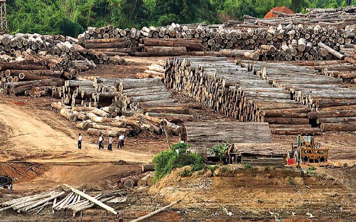 Raft dock in Myitkyina on the banks of the Ayeyawady River in Kachin State.