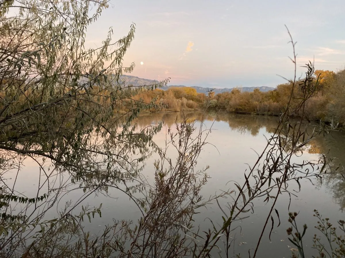 USGS study finds PFAS levels increase in Rio Grande as it flows past Albuquerque.