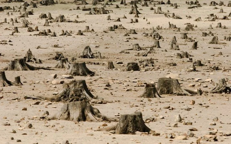 Deforestation in Ethiopia