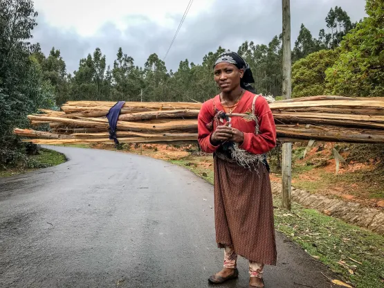 Abonesh Adisu, 26, makes a living selling firewood to support his family.