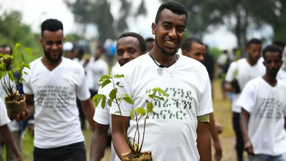 Volunteers with seedlings participate in a tree planting project. Most of the seedlings were native species, but there were also fruit trees such as avocados, 2019.