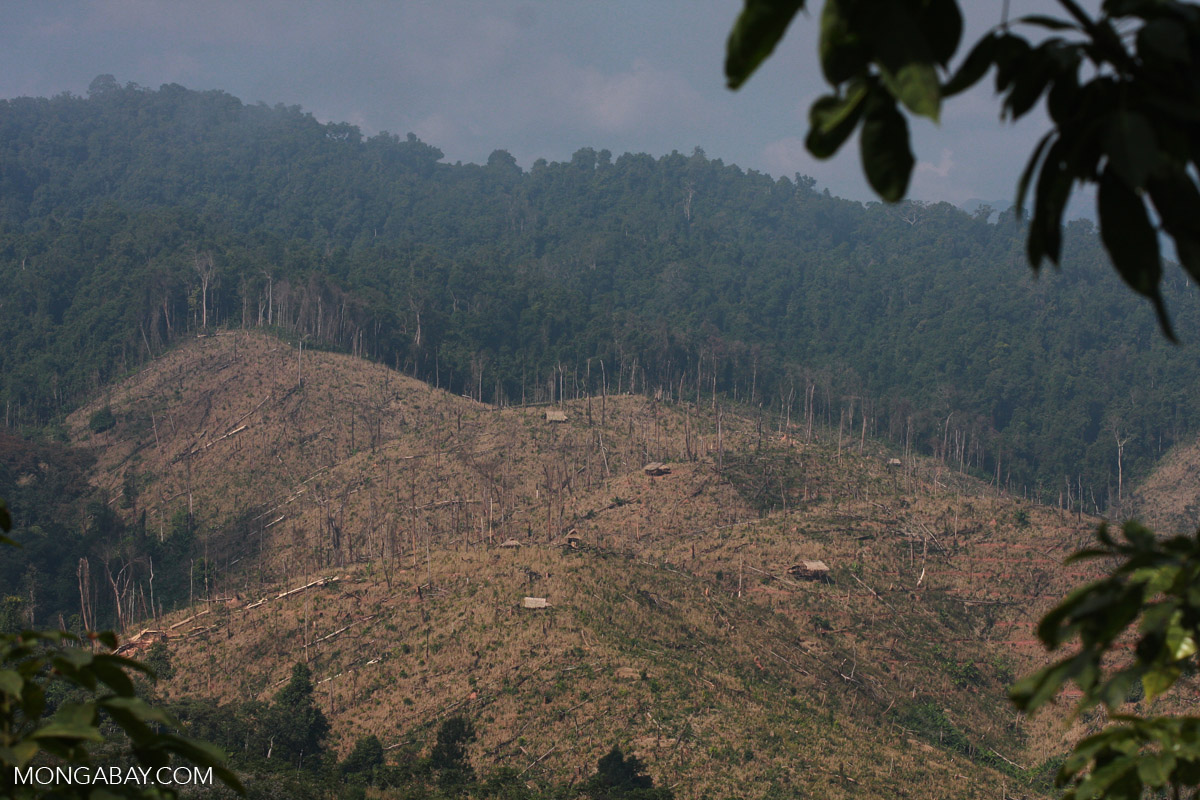 Deforestation in Laos
