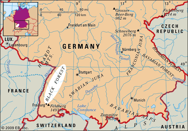 Acid Rain in the Black Forest in southwestern Germany